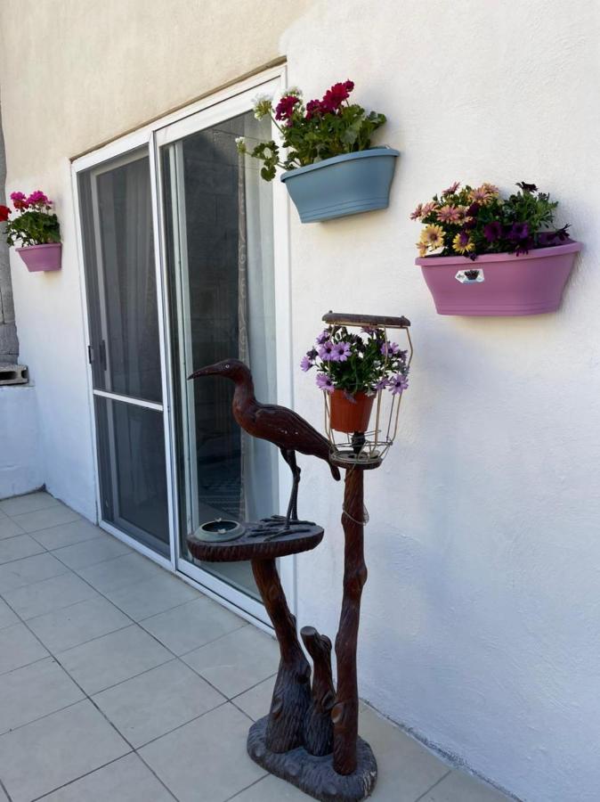 Olivier House Mellieha Βίλα Εξωτερικό φωτογραφία